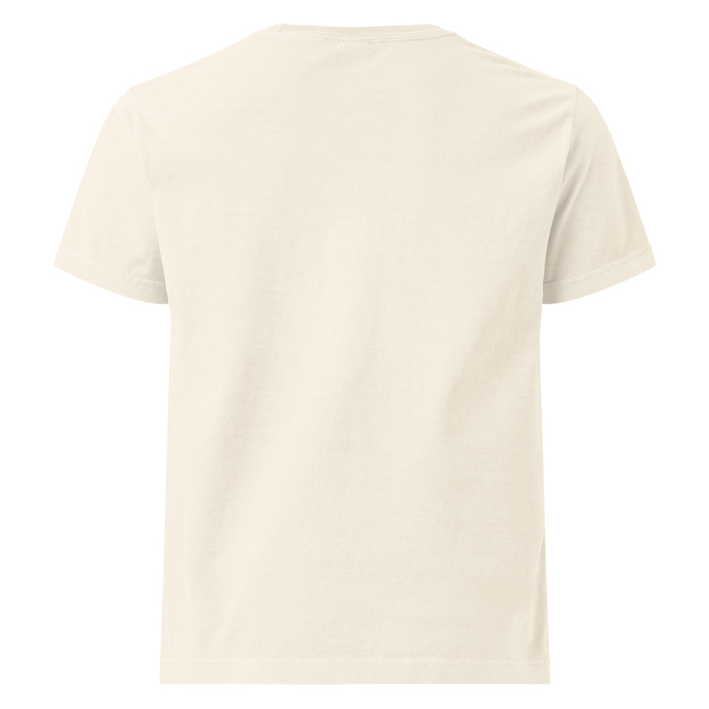 Streetwear Oversized Cotton Tee – Back View