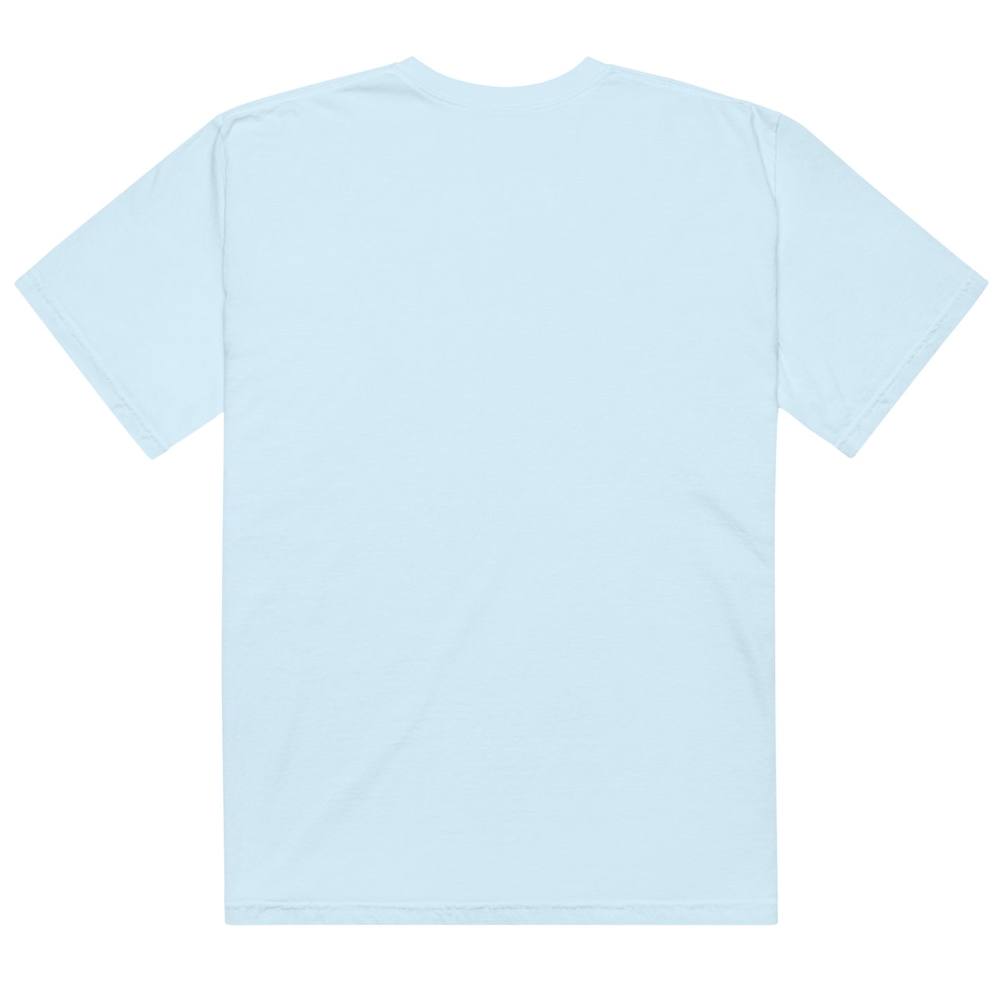 Back view of heavyweight cotton USA t-shirt