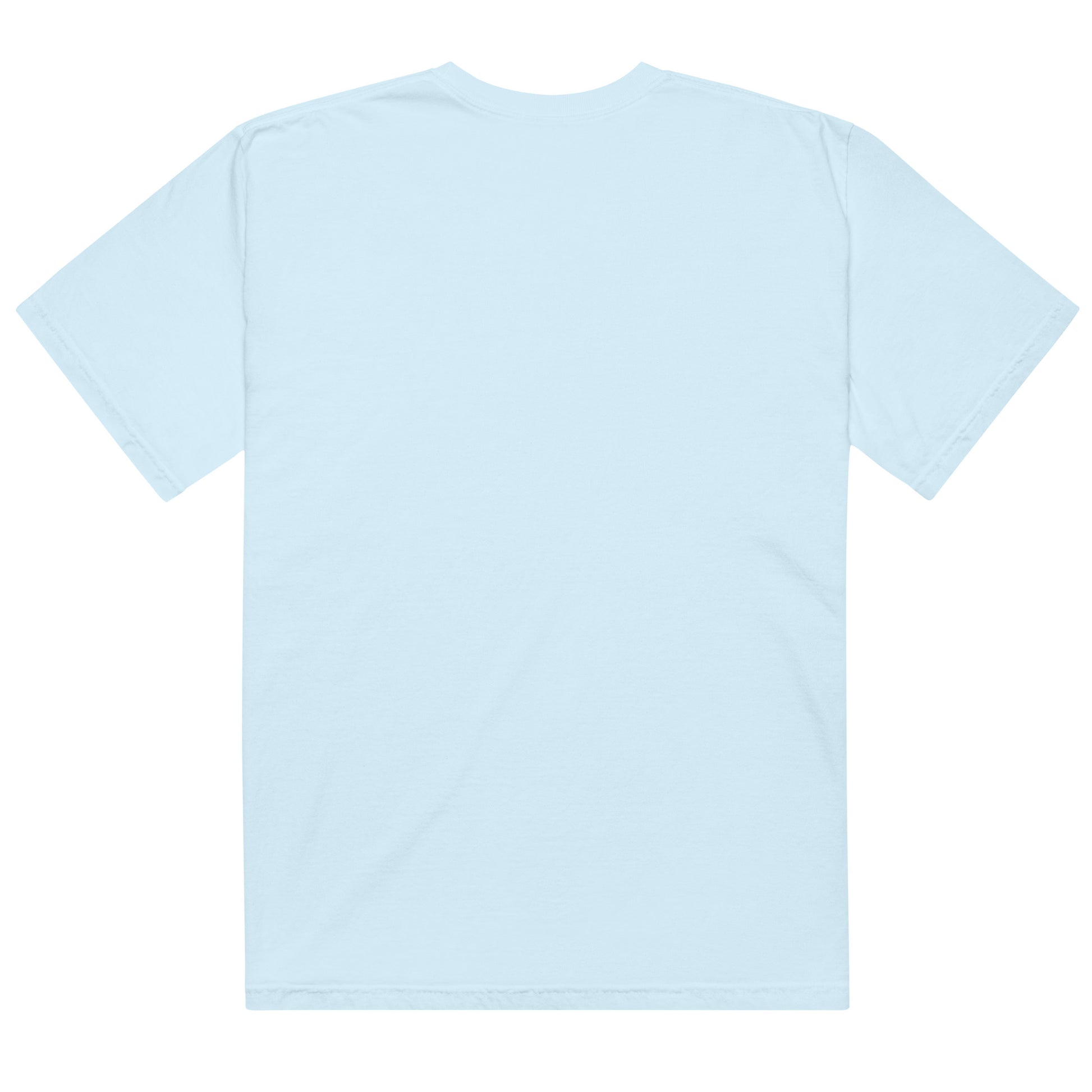 Back view of heavyweight cotton USA t-shirt