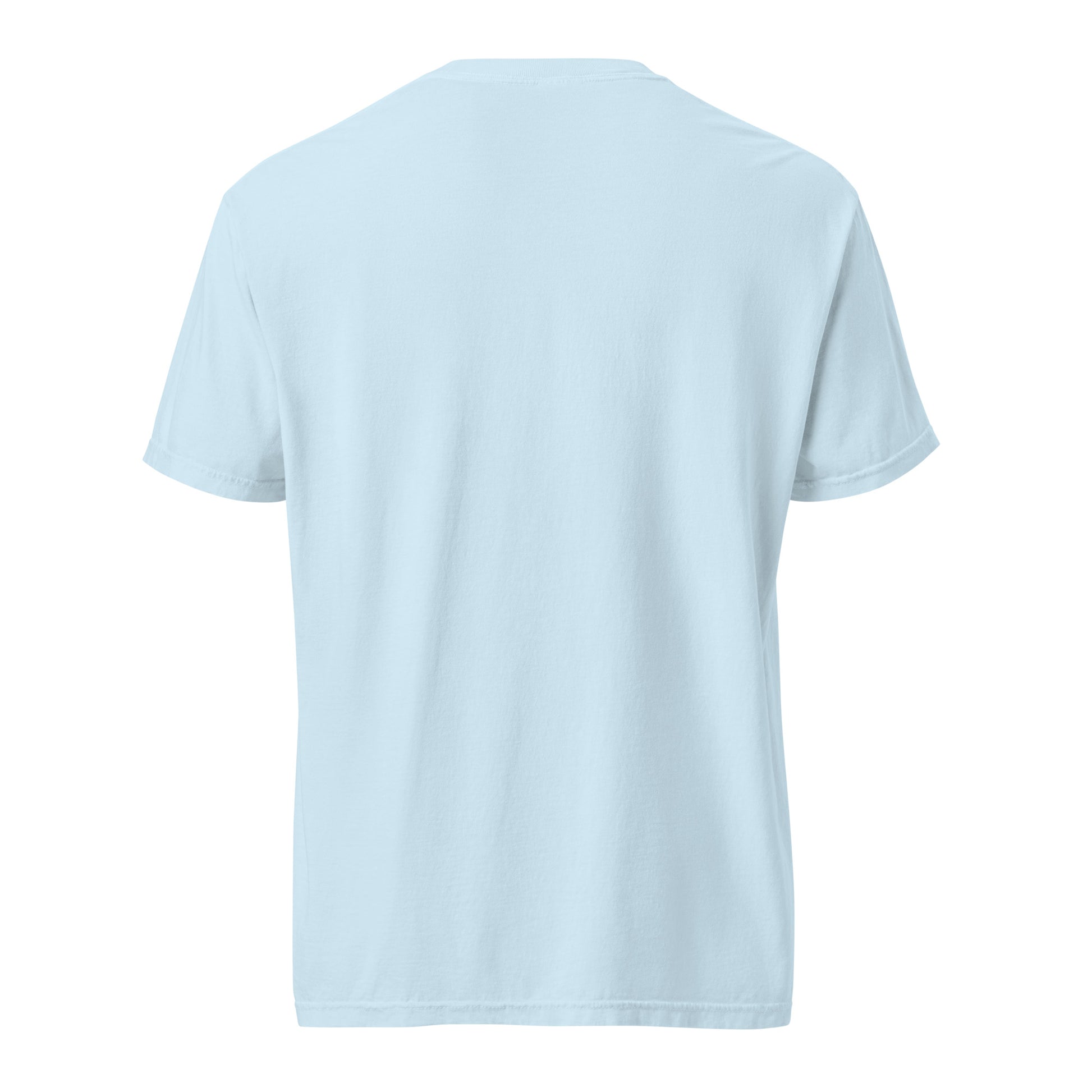 Unisex garment-dyed heavyweight t-shirt front view – Lavyas Aura