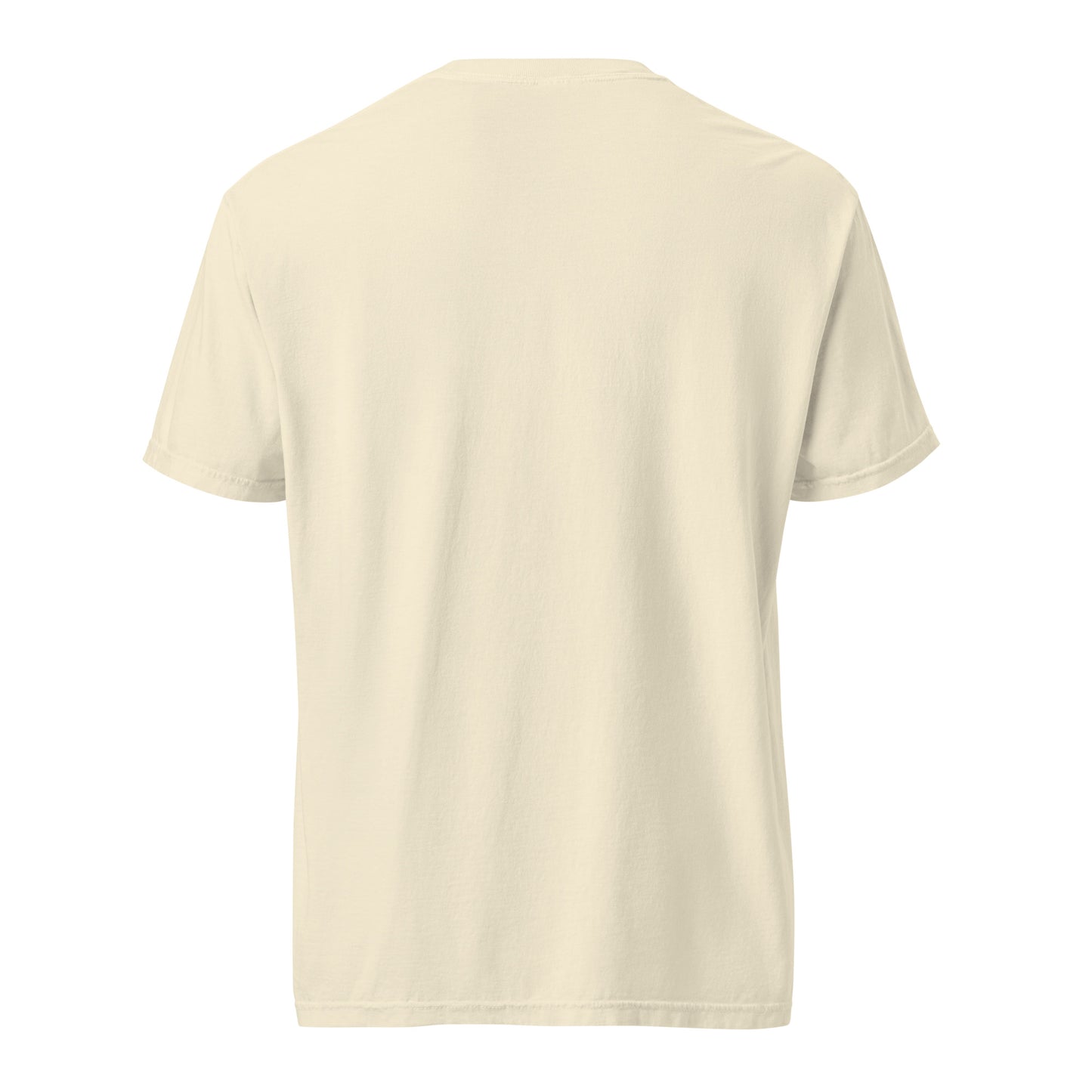 Unisex garment-dyed heavyweight t-shirt front view – Lavyas Aura