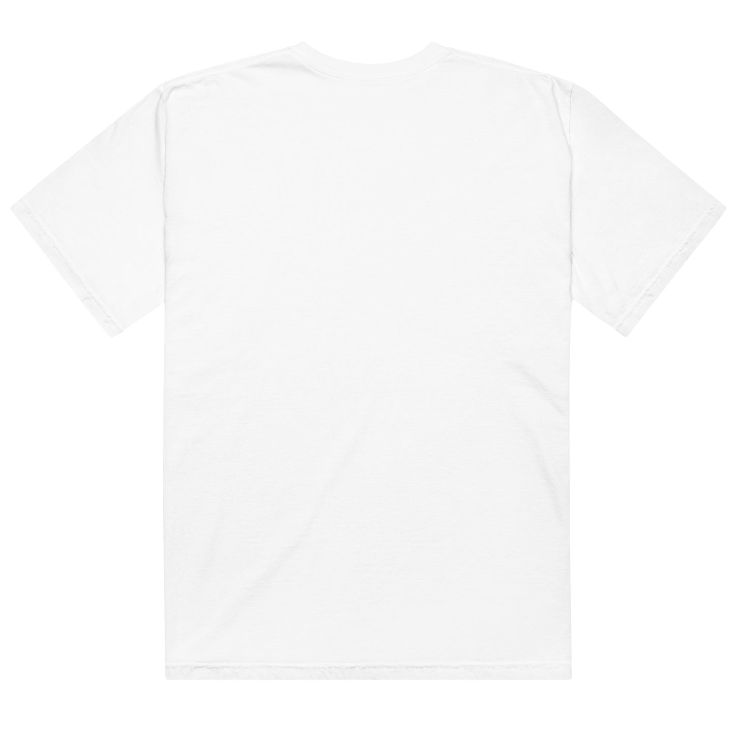 Streetwear style unisex t-shirt by Lavyas Aura