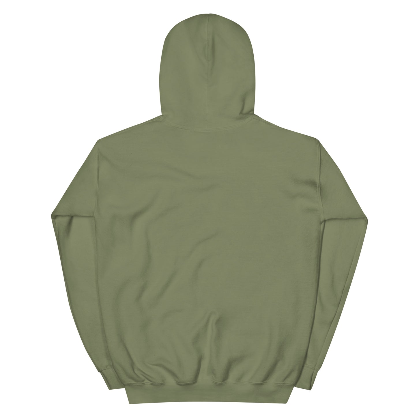 Unisex Streetwear Hoodie Back View - Lavyas Aura