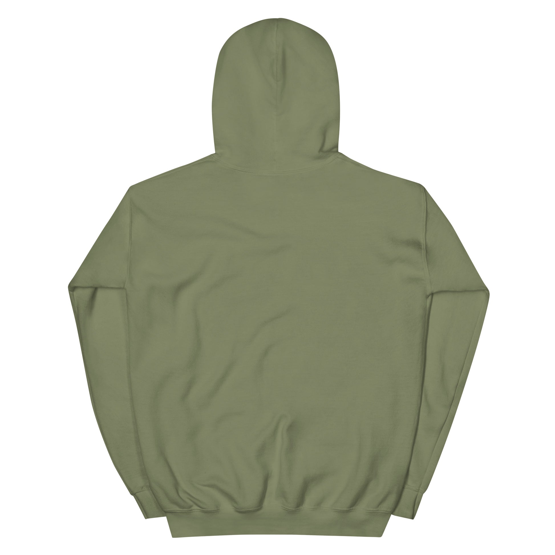 Unisex Streetwear Hoodie Back View - Lavyas Aura