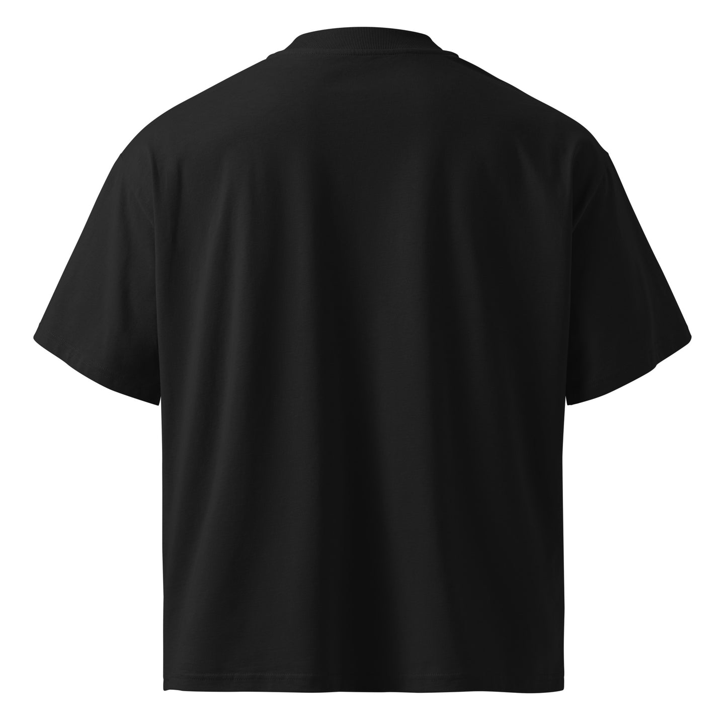 Lavyas Aura Independence Day T-Shirt back View