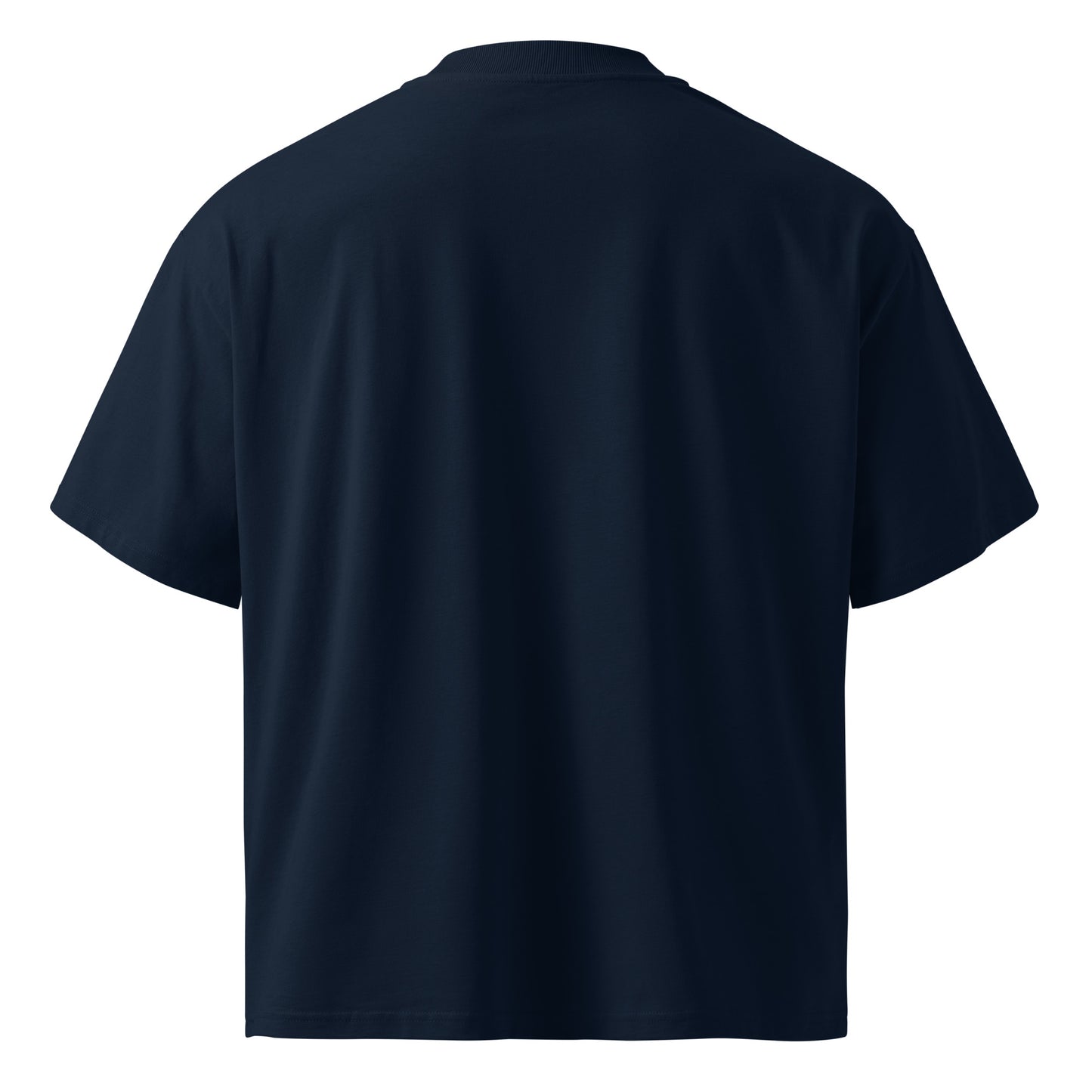 Lavyas Aura oversized organic cotton t-shirt back side
