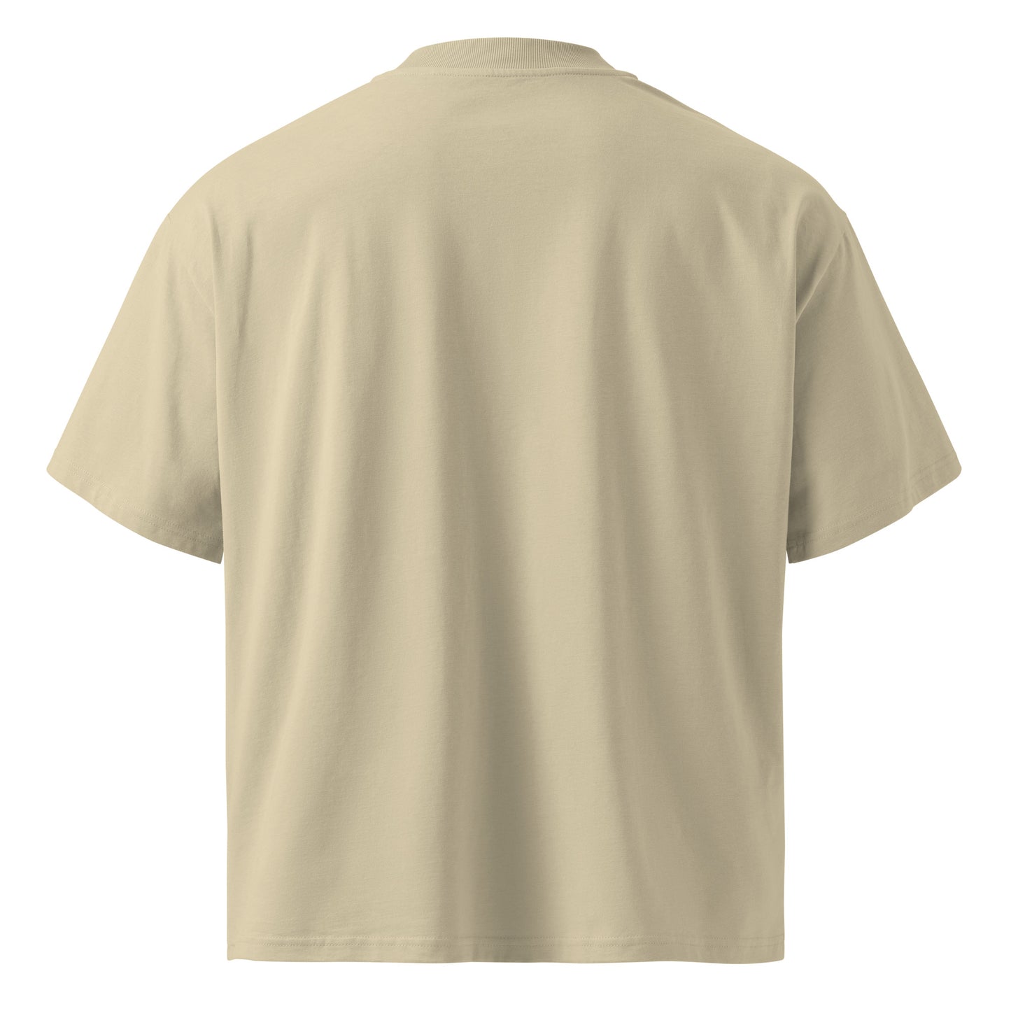 Lavyas Aura Independence Day T-Shirt Back View