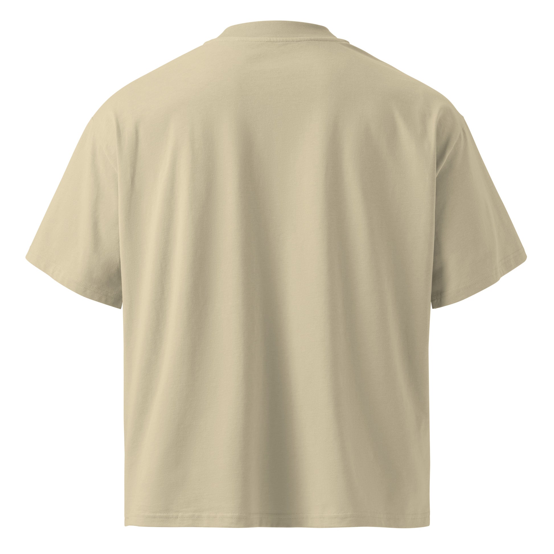 Lavyas Aura Independence Day T-Shirt Back View