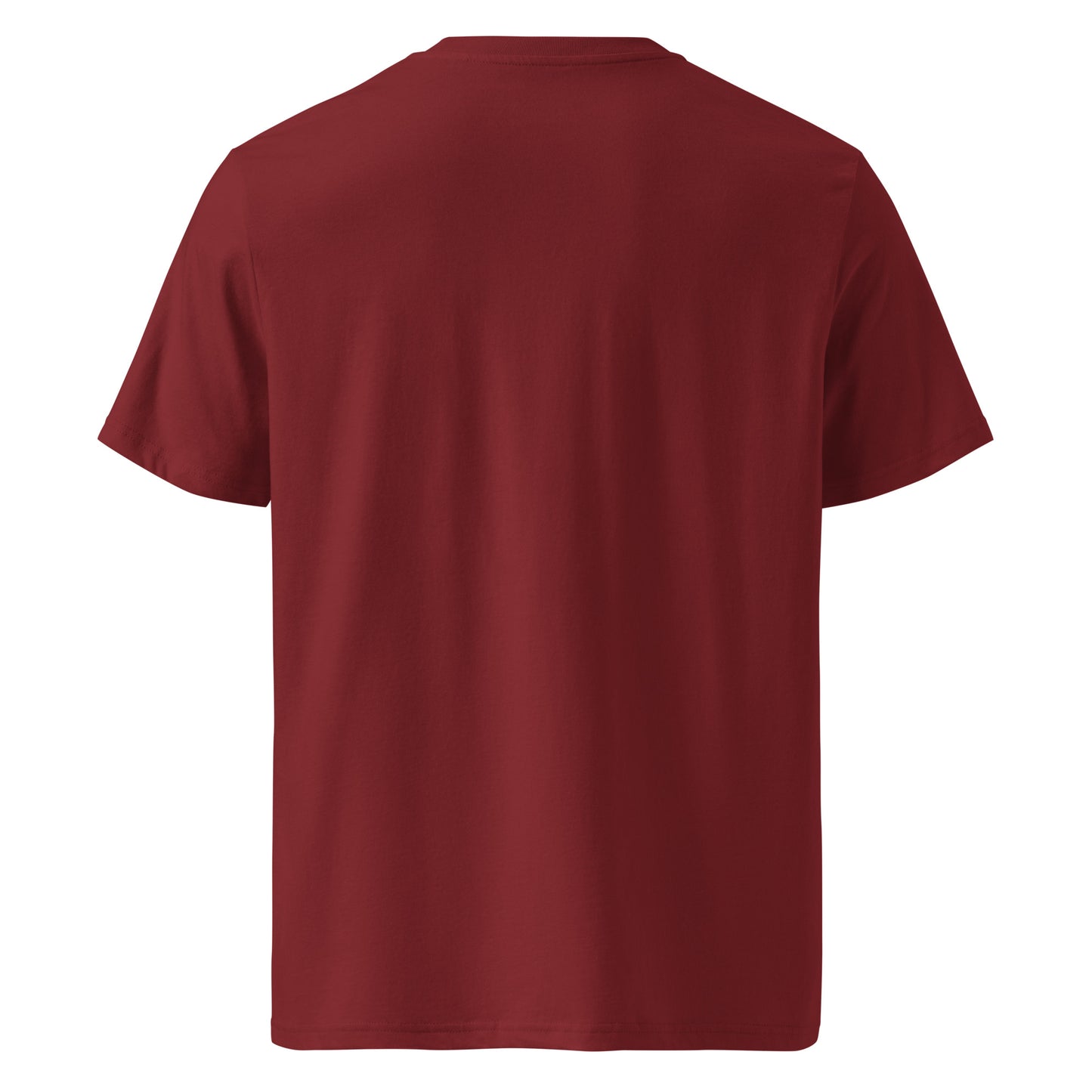 Unisex organic ribbed neck t-shirt – Lavyas Aura USA