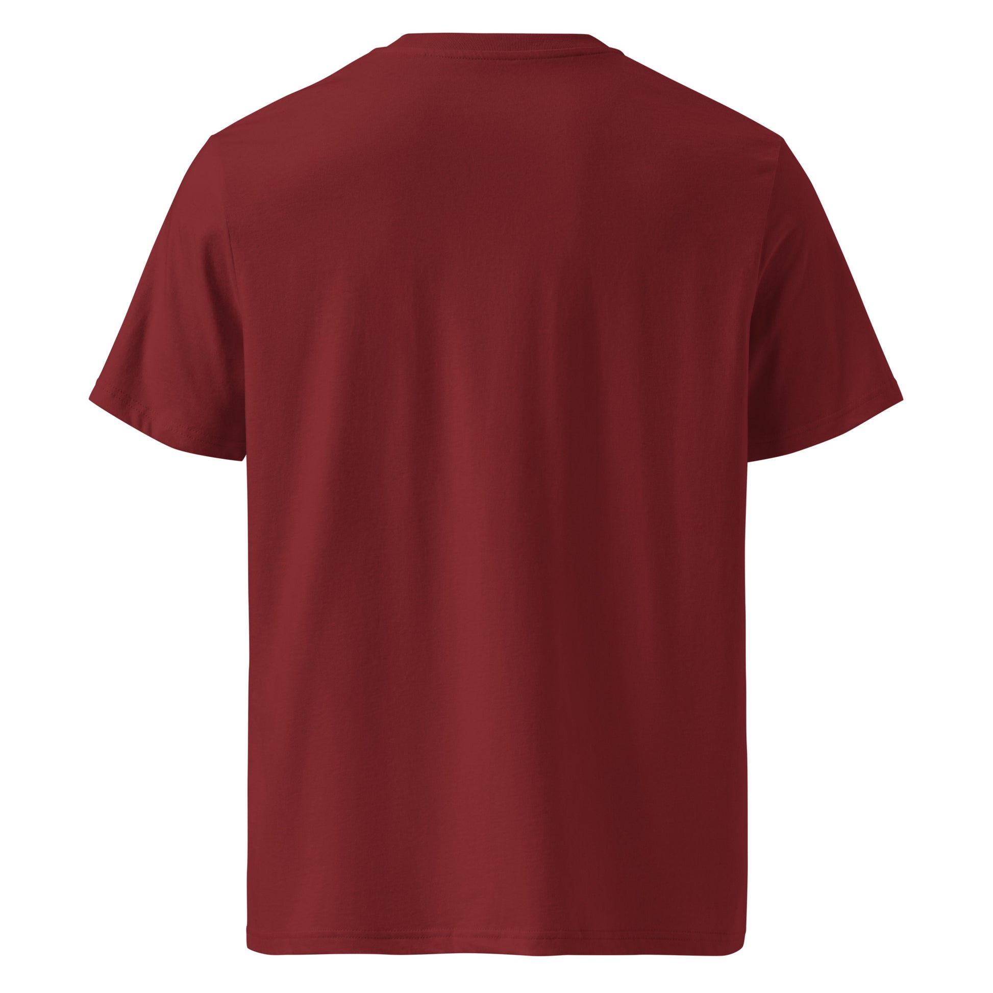 Unisex organic ribbed neck t-shirt – Lavyas Aura USA
