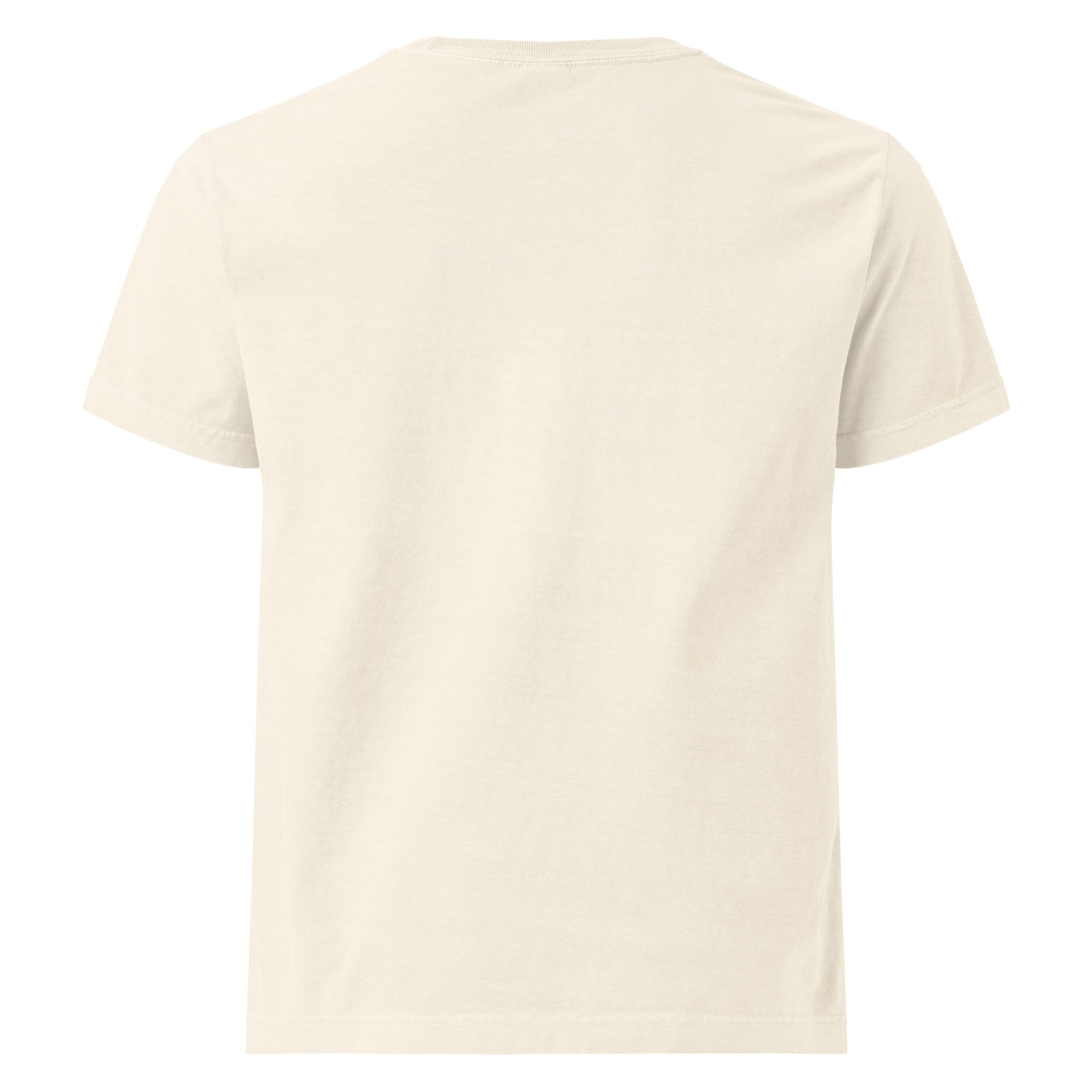 Streetwear Oversized Cotton Tee – Back View